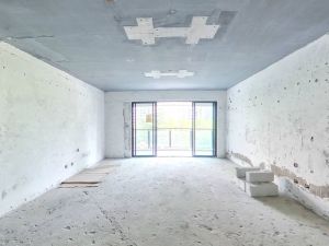 中航天逸 5室2厅 175㎡ 满五唯一深圳龙华区红山二手房图片