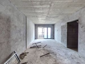 巨亿城 业主诚心出售，看房方便_赣州章贡区老城区二手房图片