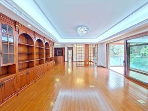 兰江山第一期 4室2厅 247.19㎡ 随时看房深圳福田区梅林租房图片