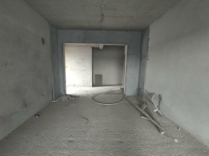 新贵华城三期A区 3室2厅 135㎡ 毛坯郴州北湖区龙泉二手房图片