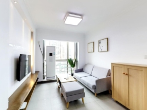 朗钜御风庭 1室1厅 46.53㎡ 简装深圳罗湖区黄贝岭二手房图片