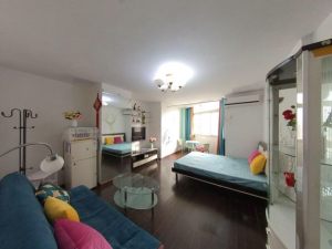 长丰苑 罗湖45平精装1房，总价205万深圳罗湖区春风路二手房图片