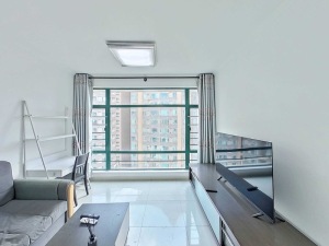 嘉年华名苑 捡漏！真实地铁低租出价租好房还能聊，深圳罗湖区东门租房图片